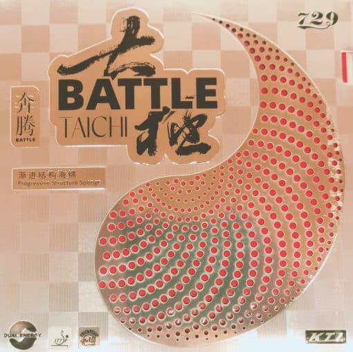 Friendship 729 Battle Taichi